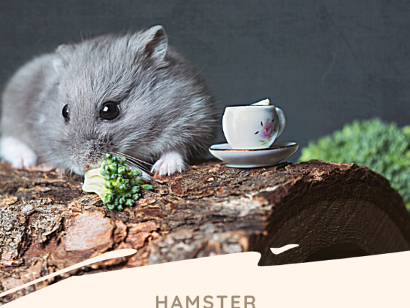 April Hamster Haul!