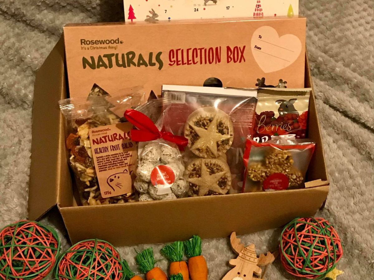 A Gift Guide and haul for Hamsters and Small Animals! Christmas 2020
