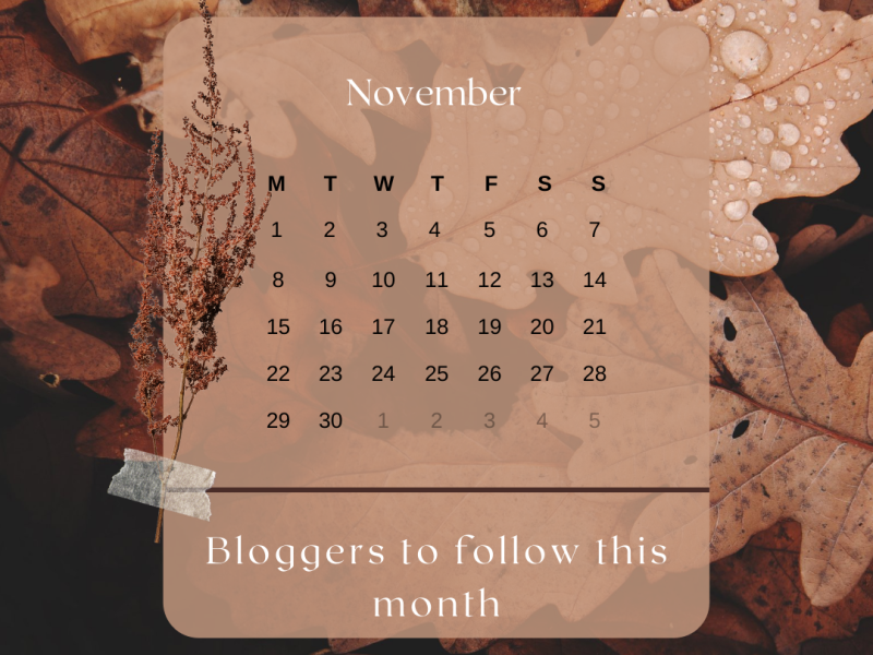 Bloggers to follow this November (ad)